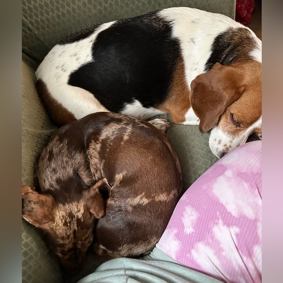 Hi, I’m Lori. Join me for live sales and fun shows with great prices! - Picture 9 of 16